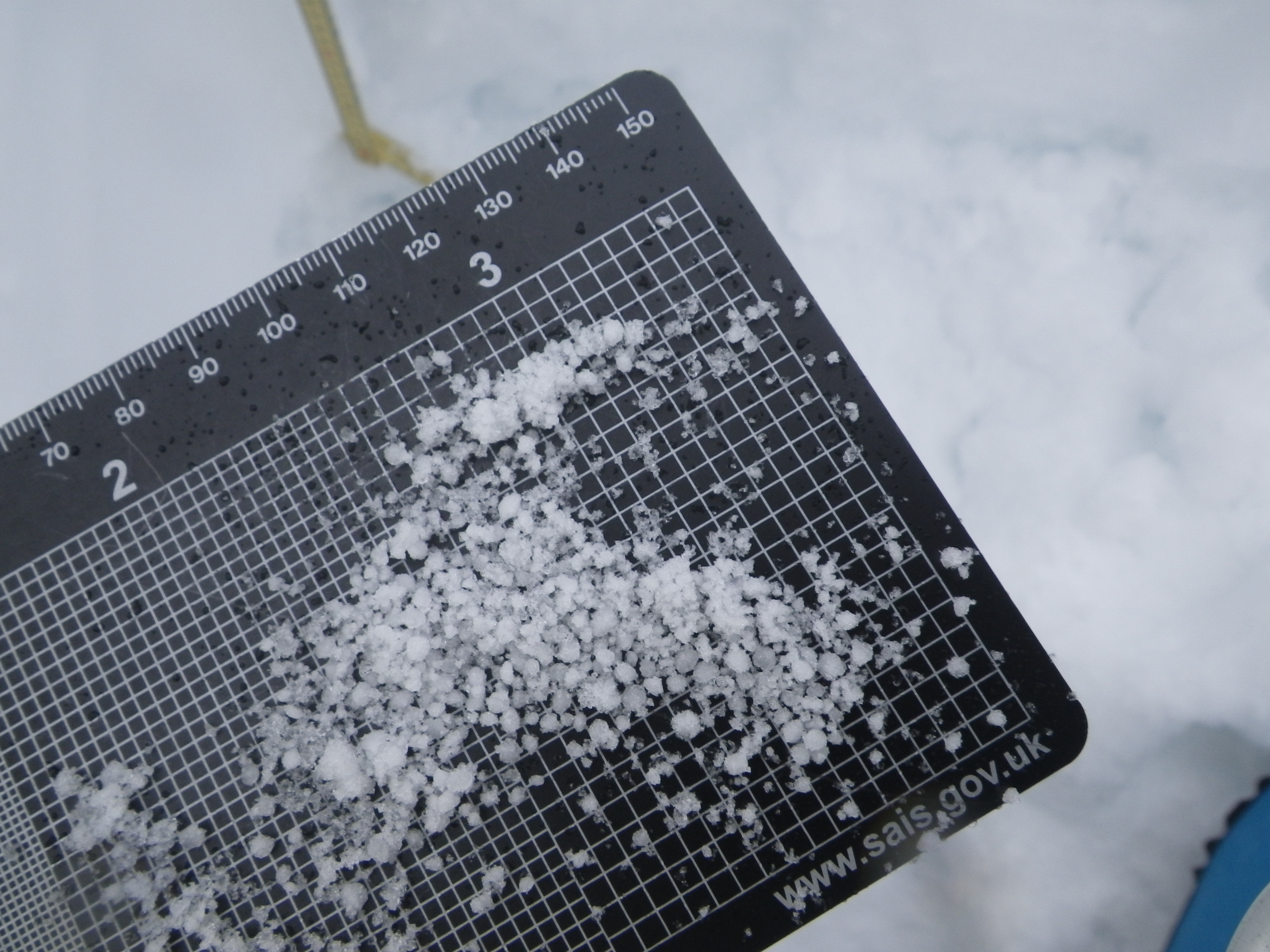 A layer of graupel within the snowpack on Easterly aspects