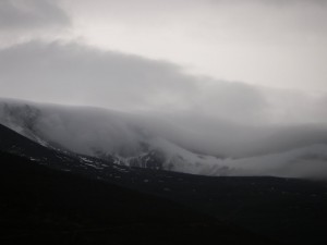Misty,wet and mild in the Cairngorms