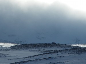 A day for Avalanches