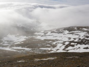 Snow cover on the plateau