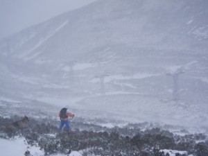 Storm force winds with heavy snowfall above 350m