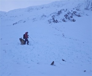 Avalanche debris