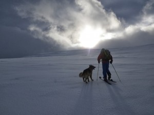 Light snowfall