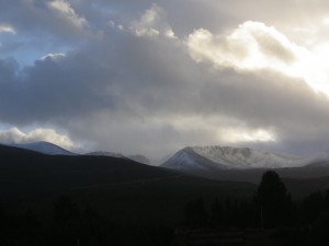 Gale force winds with snow above 900m.