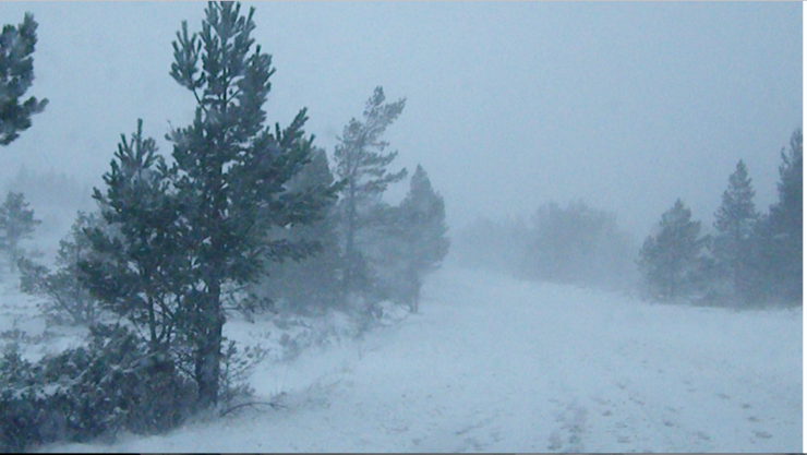 Blizzard conditions on the ski road at 500m