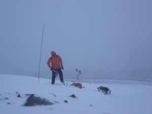 Snowfall and milder temperatures