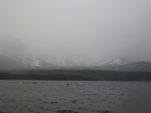 Snow sleet then rain on strong S winds.