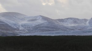 A Dusting of New Snow