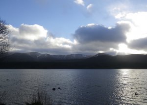 A dusting of new snow