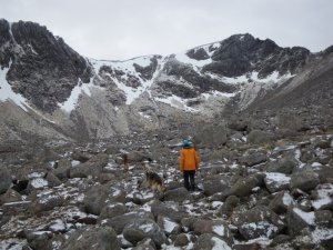 Light snow showers