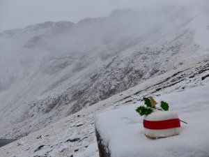 Christmas Cake with a Sprinkling of Snow.