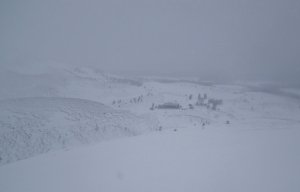 Blizzard and Whiteout Conditions 3