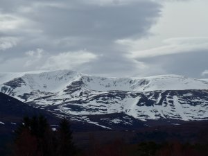 Cloudy and Cool on the Tops