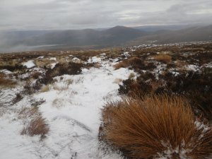 Cloudy, remaining wintry with firm snowpack