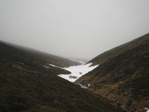 Another low cloud day