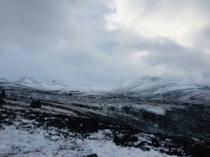 Morning snowfall