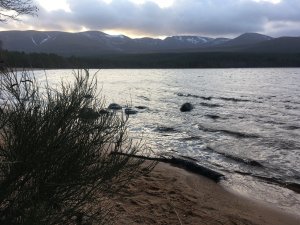 Windy, snow showers up high