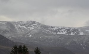 Cold with a Dusting of Snow