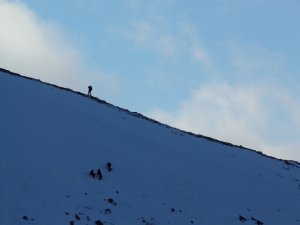 Mild with Depleted Snow Cover