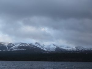 Cloudy and Windy but good Snow cover persists in places