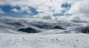 Cooler with snow showers