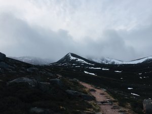 Windy and mild