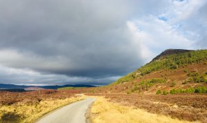 Glen Feshie