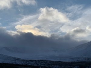 Storm force winds