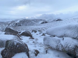 Wintry and Windy for Today!