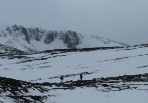 Rain and severe gales