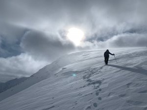 Reset to Wind Again with Avalanche Activity