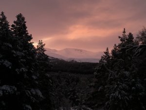 Red sky in the morning