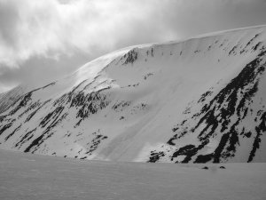Avalanche Observations