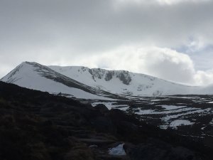 Thawing snow