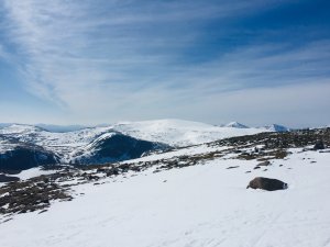 Softening snow