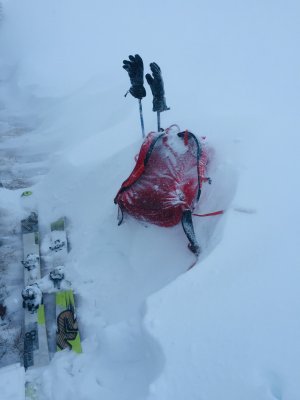 A deep blanket of new snow.