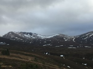 A dusting of snow