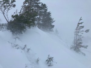 Very windy with drifting snow