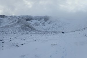 Briefly Mild Interlude