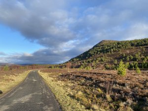 Wandering the glens.