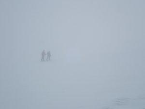 Murky, Mizzly, Mild