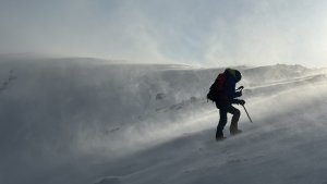 Storm force winds
