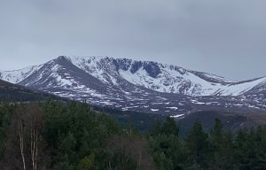 Thaw