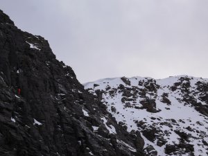 Patchy and firm…