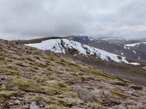 Continued snow loss