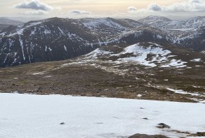 Snow remains firm
