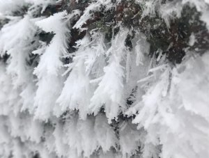 Cold and windy, again…