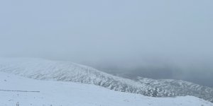 Mild and Misty with Good snow cover.