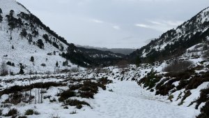 A stormy day in the Cairngorms