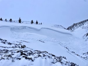 Recent avalanche activity